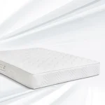 تشک رویا مدل بونل